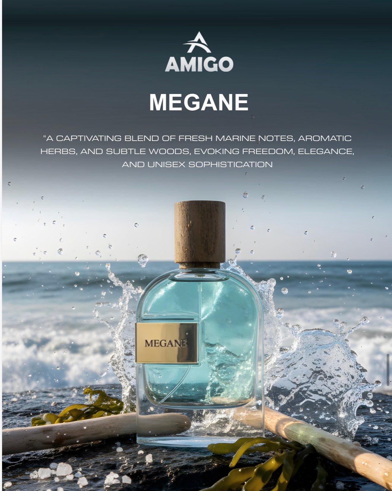 Megane Eau De Parum By Amigo Inspired By Megamare Orto Parisi perfume