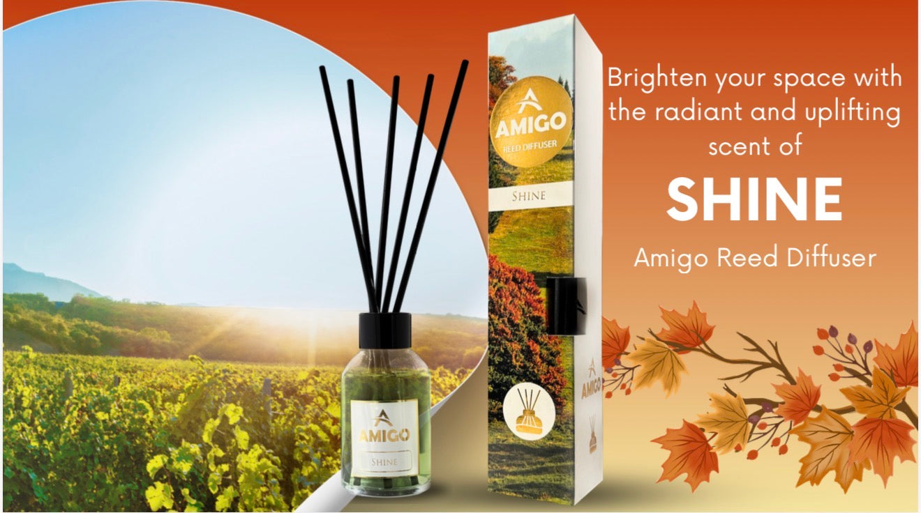 Shine Reed Diffuser By Amigo