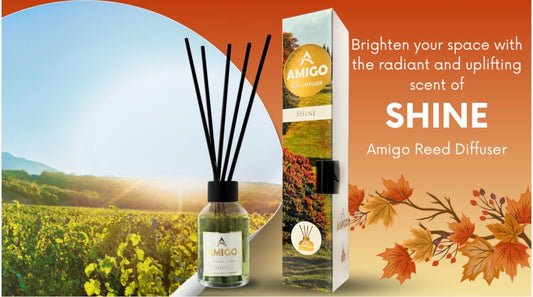 Shine Reed Diffuser By Amigo